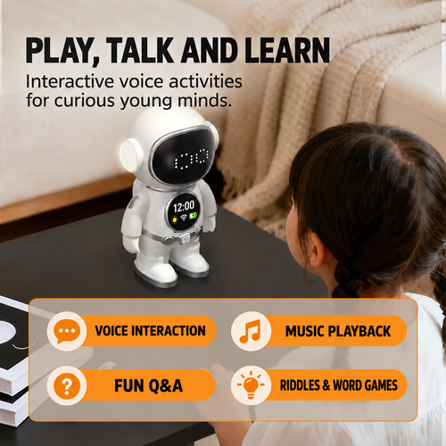 AI Desktop Companion Robot with Voice & Music | Ghana