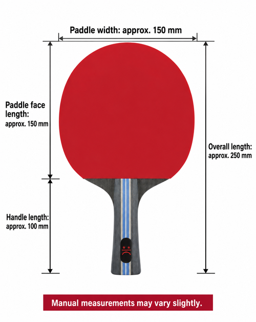 Short-Handle Table Tennis Set with 2 Paddles, 5 Balls and Bag