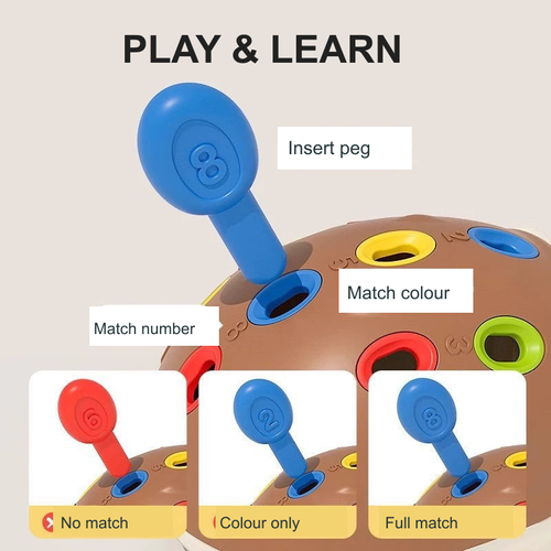 Hedgehog Number and Colour Peg Toy
