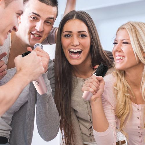 Mini Karaoke Machine with 2 Wireless Microphones