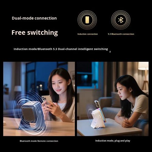 Bluetooth Speaker