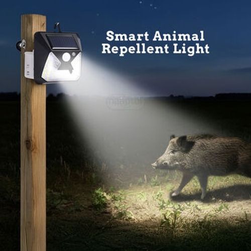 2 In 1 Solar Light With Animal Repellent Light (LL21)