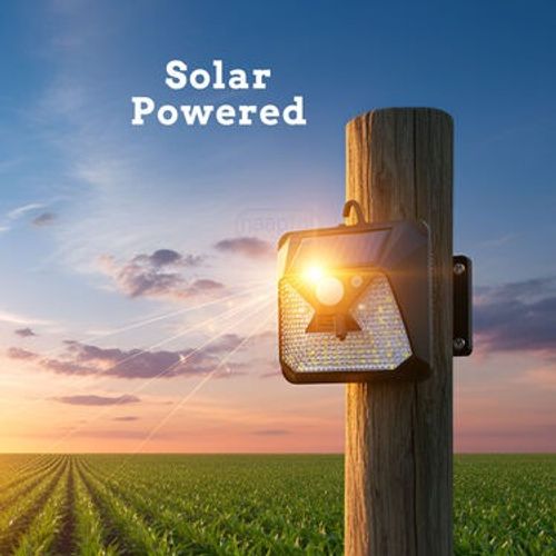 2 In 1 Solar Light With Animal Repellent Light (LL21)