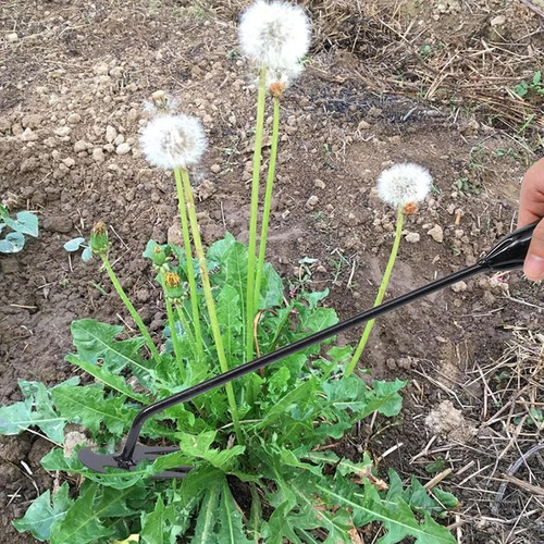 🌿Garden Weed Pulling Tool Uprooting Weeding Tool