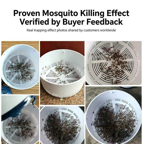 MOSQUITO Killer LAMP