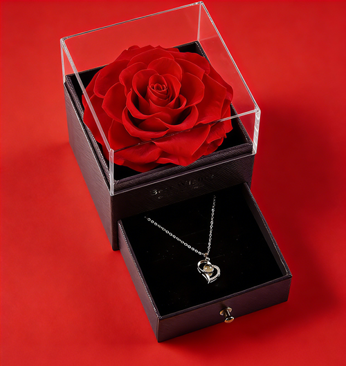 Rosas dos Sonhos Encantadores: Um Presente para Ela