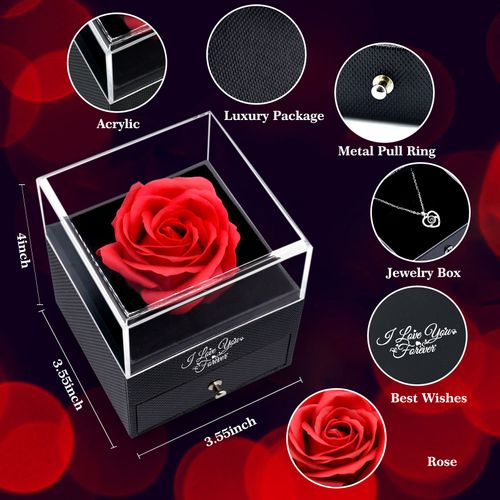 Rosas dos Sonhos Encantadores: Um Presente para Ela