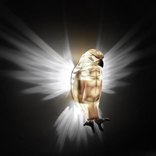 Candeeiro de parede LED com motivo de águia