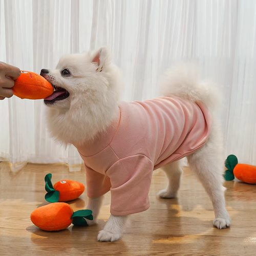 Cartoon luxury baby sound pet environmentally friendly toys, buy one get four free