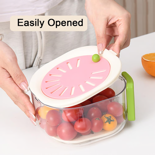 Fruit Washing Bowl