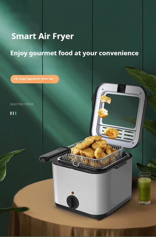 Deep Fryer Multifunctional Household Electric Fryer Electric Fryer