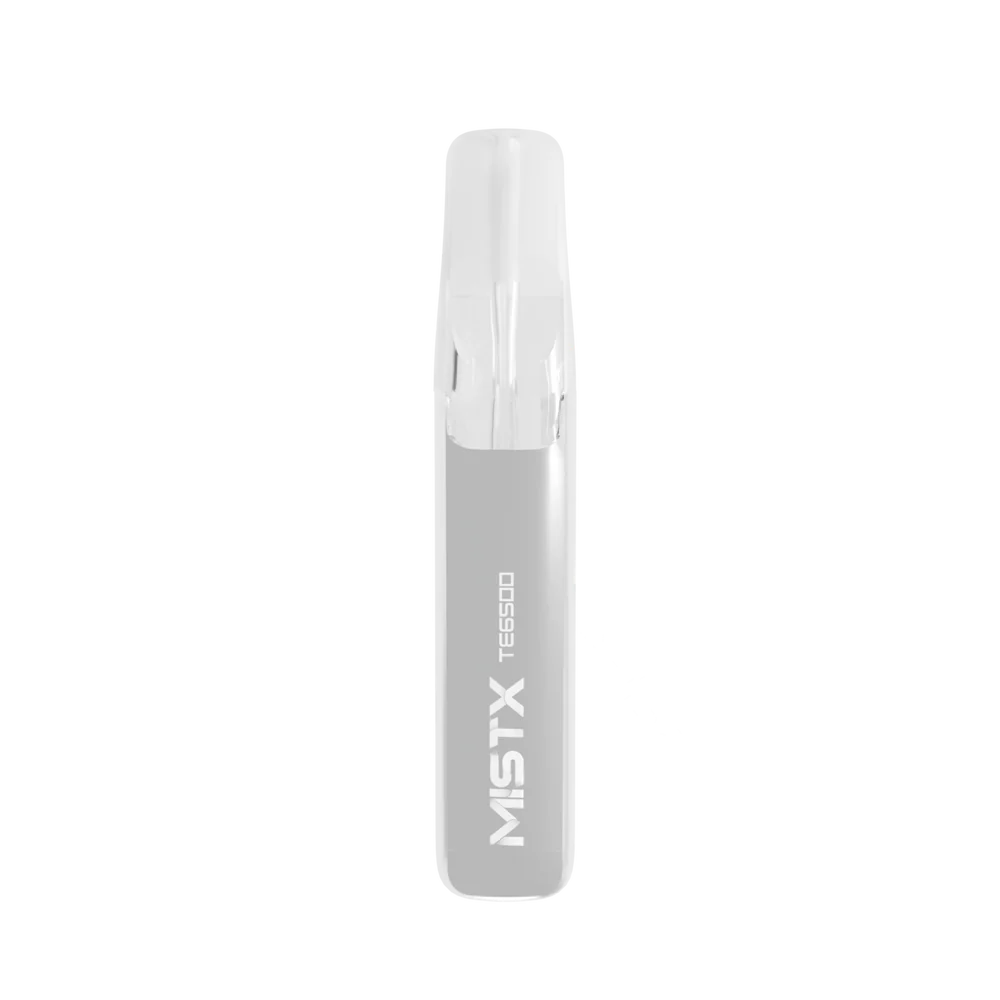 MIST X 鴨嘴獸 6500 口長效拋棄式電子煙 台灣現貨