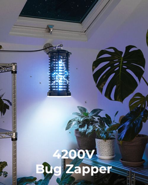 Bug Zapper