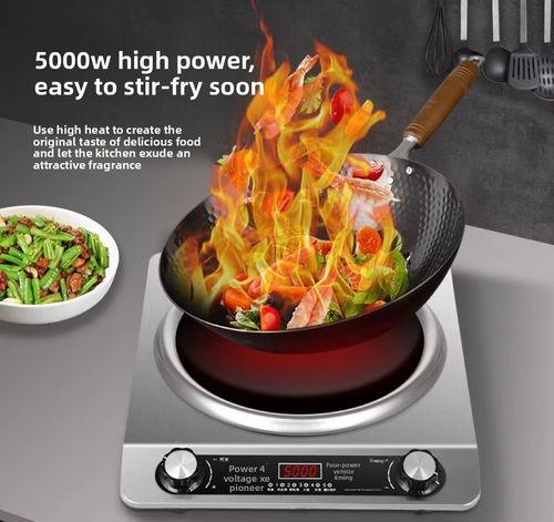 Waterproof Induction Cooker