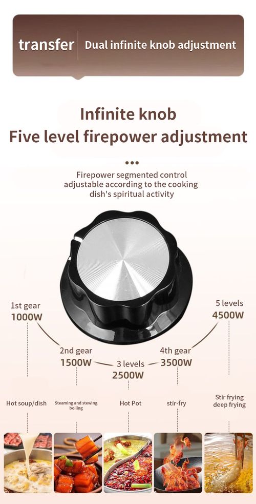 Waterproof Induction Cooker