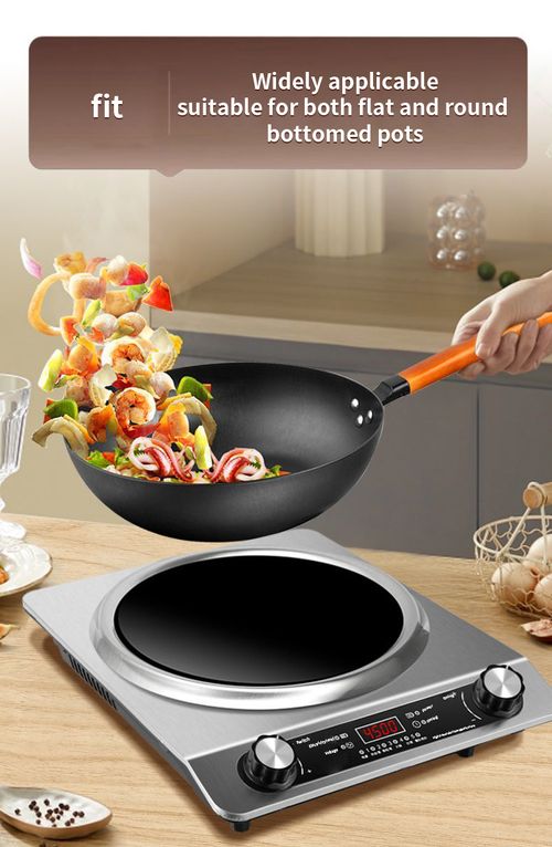 Waterproof Induction Cooker