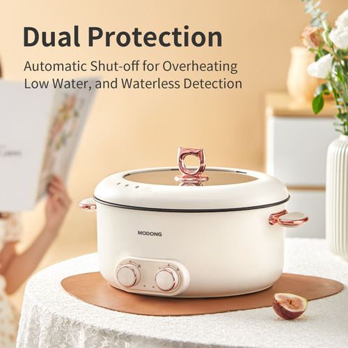 6L Dual Sided Electric Hot Pot