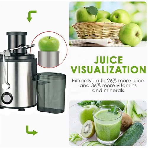Electric Fruit Juicer