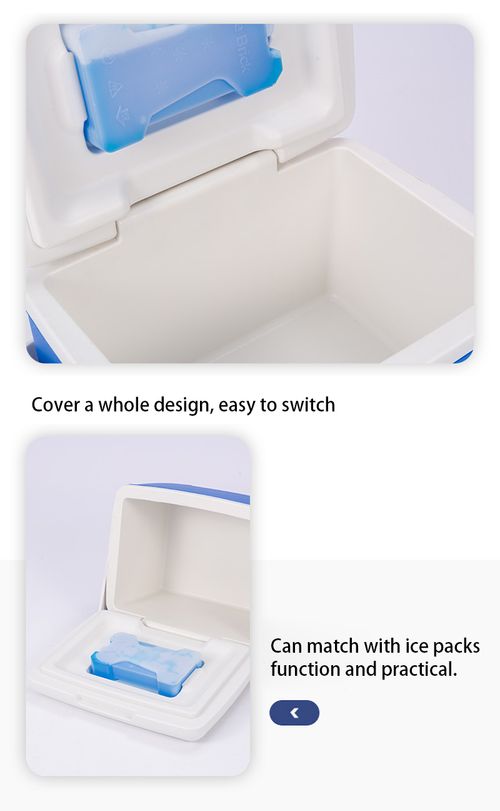 8L Portable Cooler