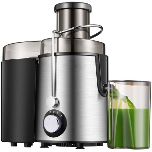 Electric Fruit Juicer