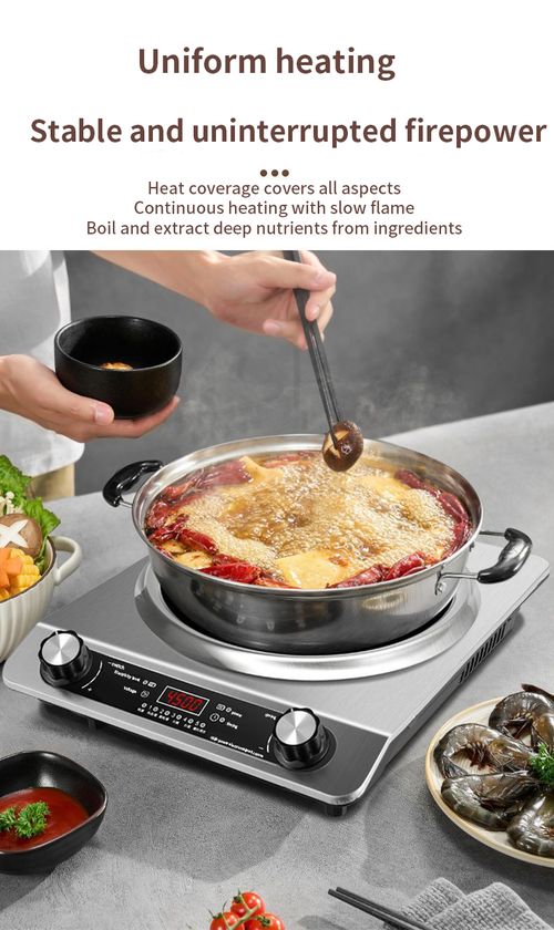 Waterproof Induction Cooker