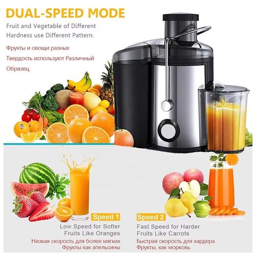 Electric Fruit Juicer