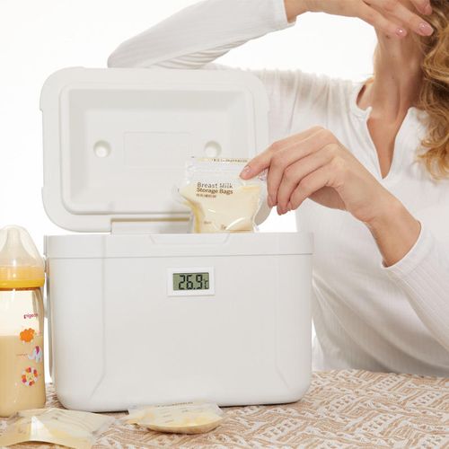 5.5L Portable Cooler