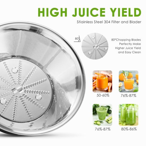 Electric Fruit Juicer