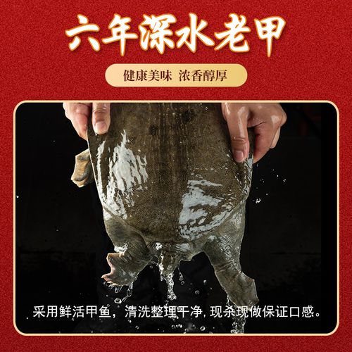 Donghu Impression, China: Authentic Hanshou Braised Soft-shelled Turtle, Cold Chain Delivery, Ready to Eat, Nutritious and Delicious, Braised Soft-shelled Turtle, Outdoor Cooked Food