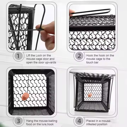 Solid Performance Humane Mouse Trap Cage High Cost-Effective Indoor Outdoor Use Reusable Rodent Control Solution Pest Capture