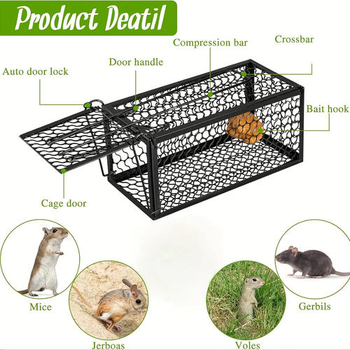 Solid Performance Humane Mouse Trap Cage High Cost-Effective Indoor Outdoor Use Reusable Rodent Control Solution Pest Capture