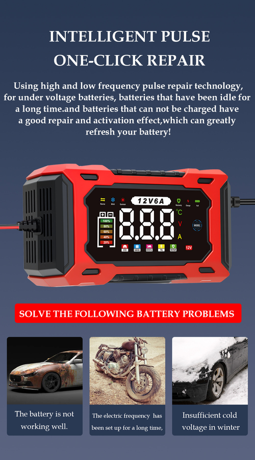 ✨DLJ-CePin✨12V & 24V Smart Battery Charger