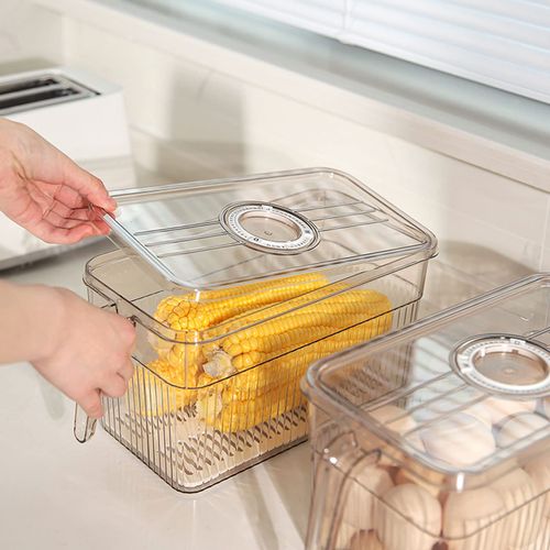 🔥Hot Seller🔥 Transparent Fridge Storage Box with Drain Tray, Food Grade for Fruit Vegetable