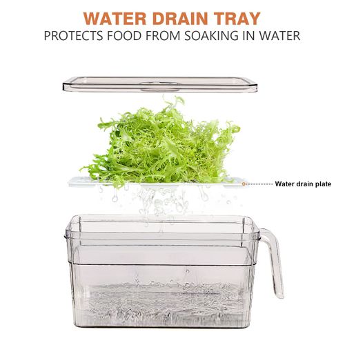 🔥Hot Seller🔥 Transparent Fridge Storage Box with Drain Tray, Food Grade for Fruit Vegetable
