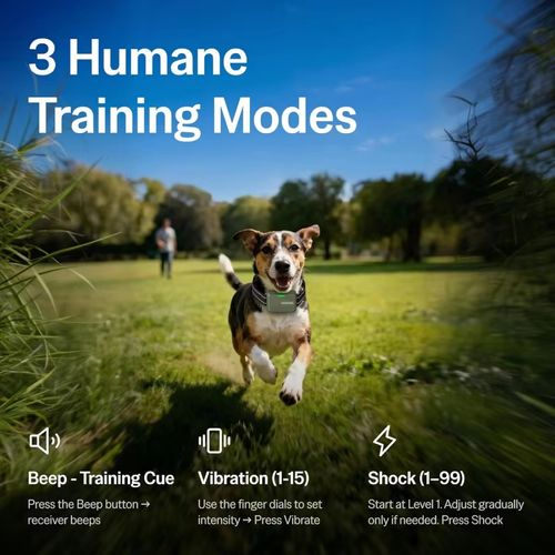 🐶Collier Éducatif Chien Étanche Télécommande Longue Portée COD