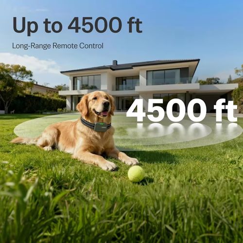 🐶Collier Éducatif Chien Étanche Télécommande Longue Portée COD