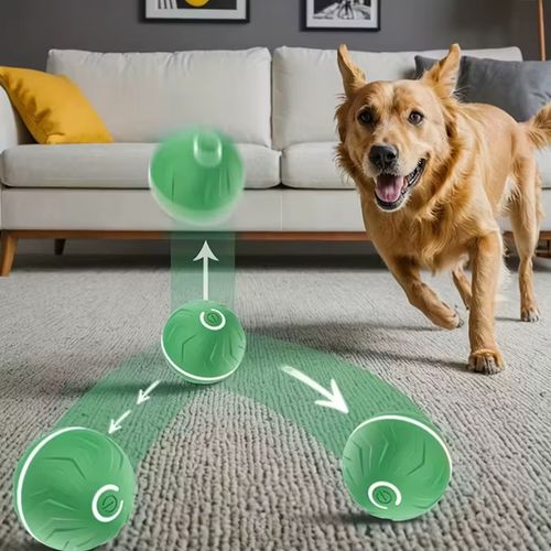 2 lots de balles intelligentes pour chiens