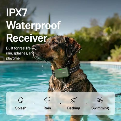 🐶Collier Éducatif Chien Étanche Télécommande Longue Portée COD