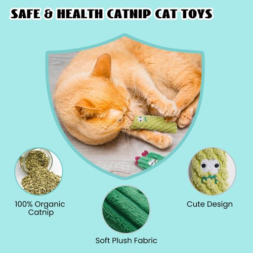 Lot 5 jouets à mâcher cactus herbe à chat bio pour chatons COD