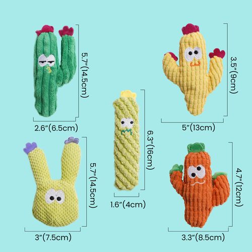 Lot 5 jouets à mâcher cactus herbe à chat bio pour chatons COD
