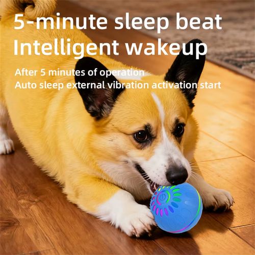 2 lots de balles intelligentes pour chiens