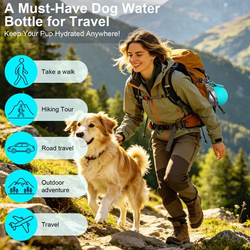 2 in 1 Gourde portable pour animaux et distributeur de nourriture en acier inoxydable (étanche)