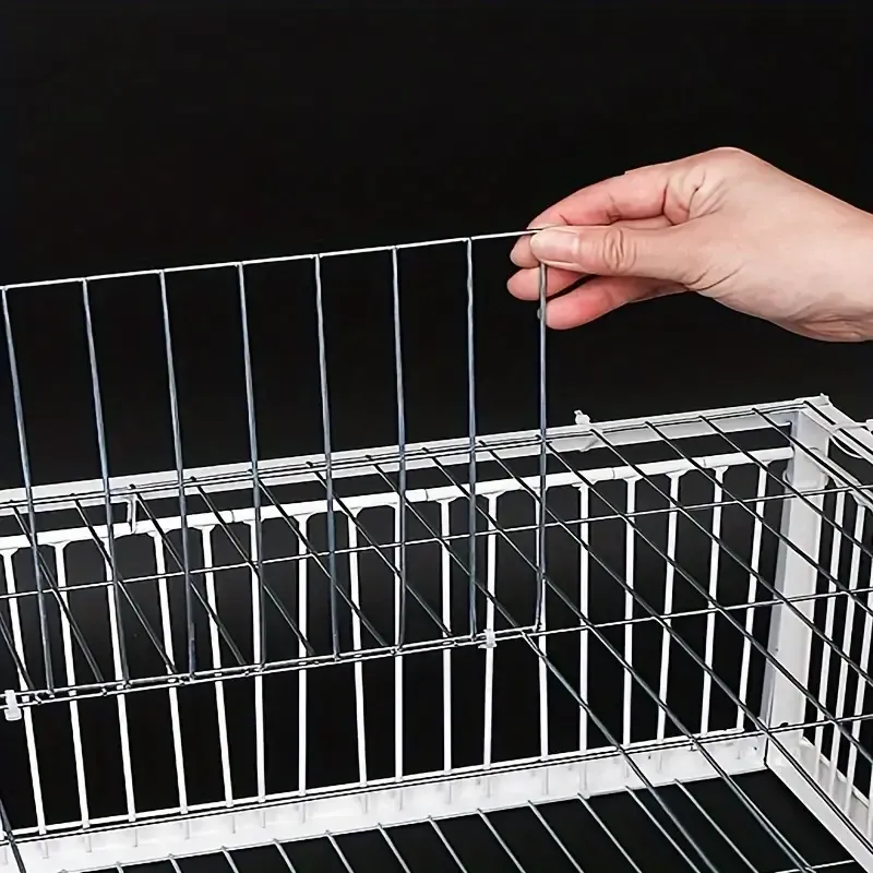 Cage pour pigeons