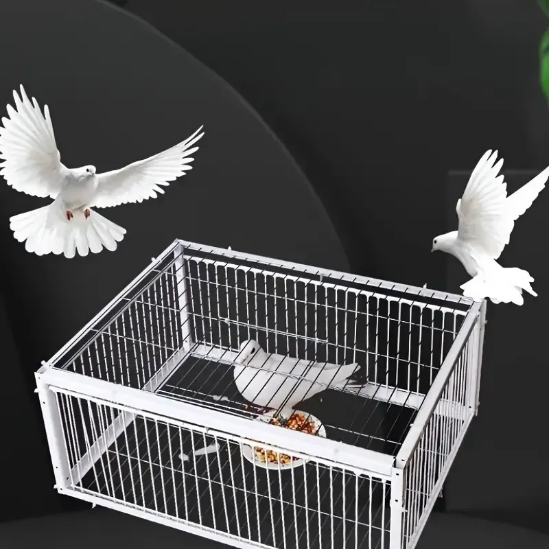 Cage pour pigeons