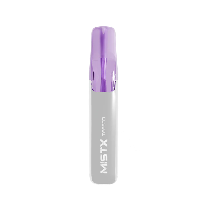 MISTX TE6500鴨嘴獸6500可拋式電子煙值得入手！12ml油倉、陶瓷芯搭配Type C充電