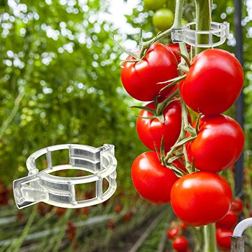 🔥HOT SALE🔥 COD！Send 5 items！500 White Plastic Plant Clips — Strong and Durable Trellis Supports for Tomato, Grape, and Other Vegetable Vines.Nairobi stock ships within 48H, delivered within 3days
