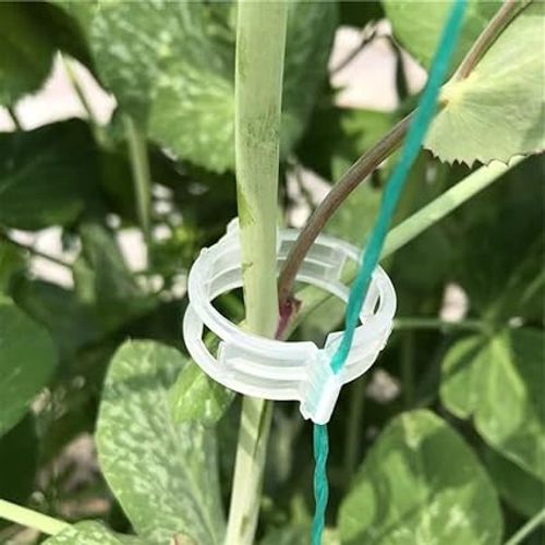 🔥HOT SALE🔥 COD！Send 5 items！500 White Plastic Plant Clips — Strong and Durable Trellis Supports for Tomato, Grape, and Other Vegetable Vines.Nairobi stock ships within 48H, delivered within 3days