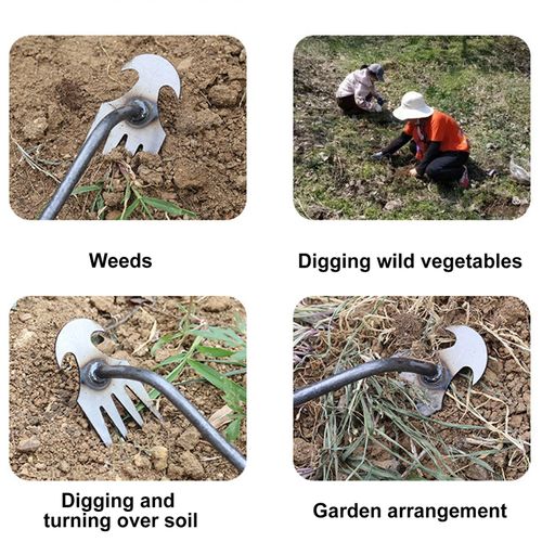 Hand Weeder Tool Kenya Heavy Duty Garden Weed Remover Steel Tool for Farm and Home Use