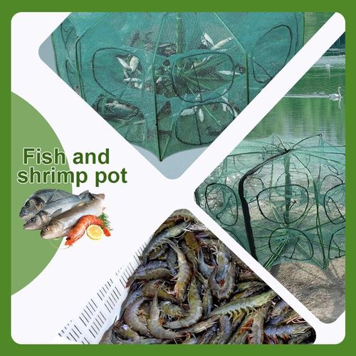 Upgraded reinforced auto-foldable fishing trap net. Portable and durable magic folding design, perfect for catching minnow, bait fish and crawfish, ideal outdoor fishing equipment, free shipping and cash on delivery.