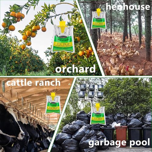 Disposable fly trap bags for outdoor use, mess-free design to catch flies efficiently, ideal for yards, gardens, farms and horse ranches, free shipping and cash on delivery.